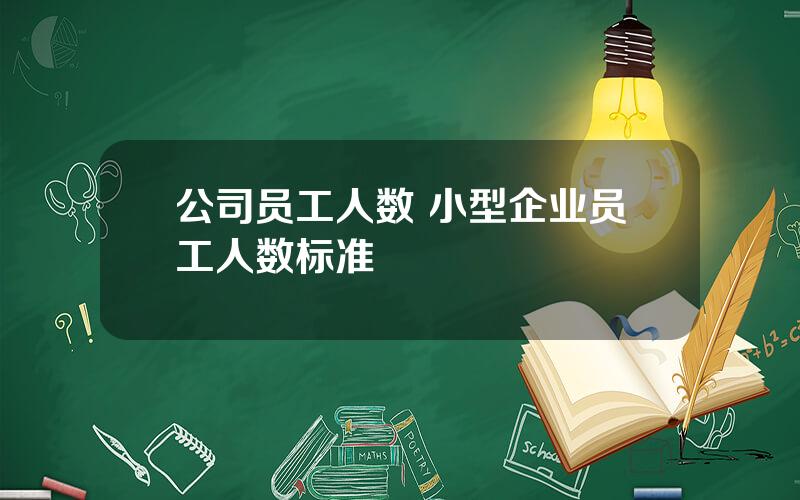 公司员工人数 小型企业员工人数标准